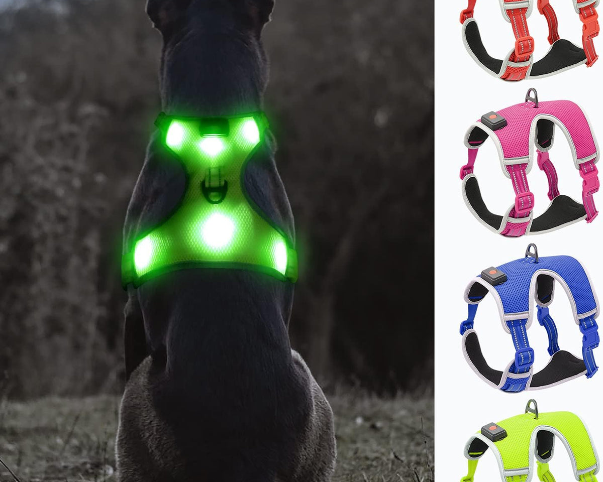 USB Rechargeable LED Dog Harness with Reflective Strips - Adjustable Medium Comfort Fit (Green)