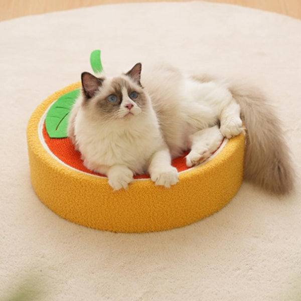 Cat Bed, Cat Scratching Board &Quality