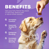 Dog Vitamins 15 in 1 