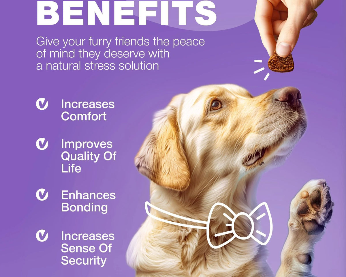 Dog Vitamins 15 in 1 