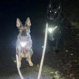 Canine Headlight Harness