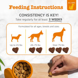 Delicious Pumpkin Flavor Probiotic Bites for Dogs - 3 Pack, 60 Count