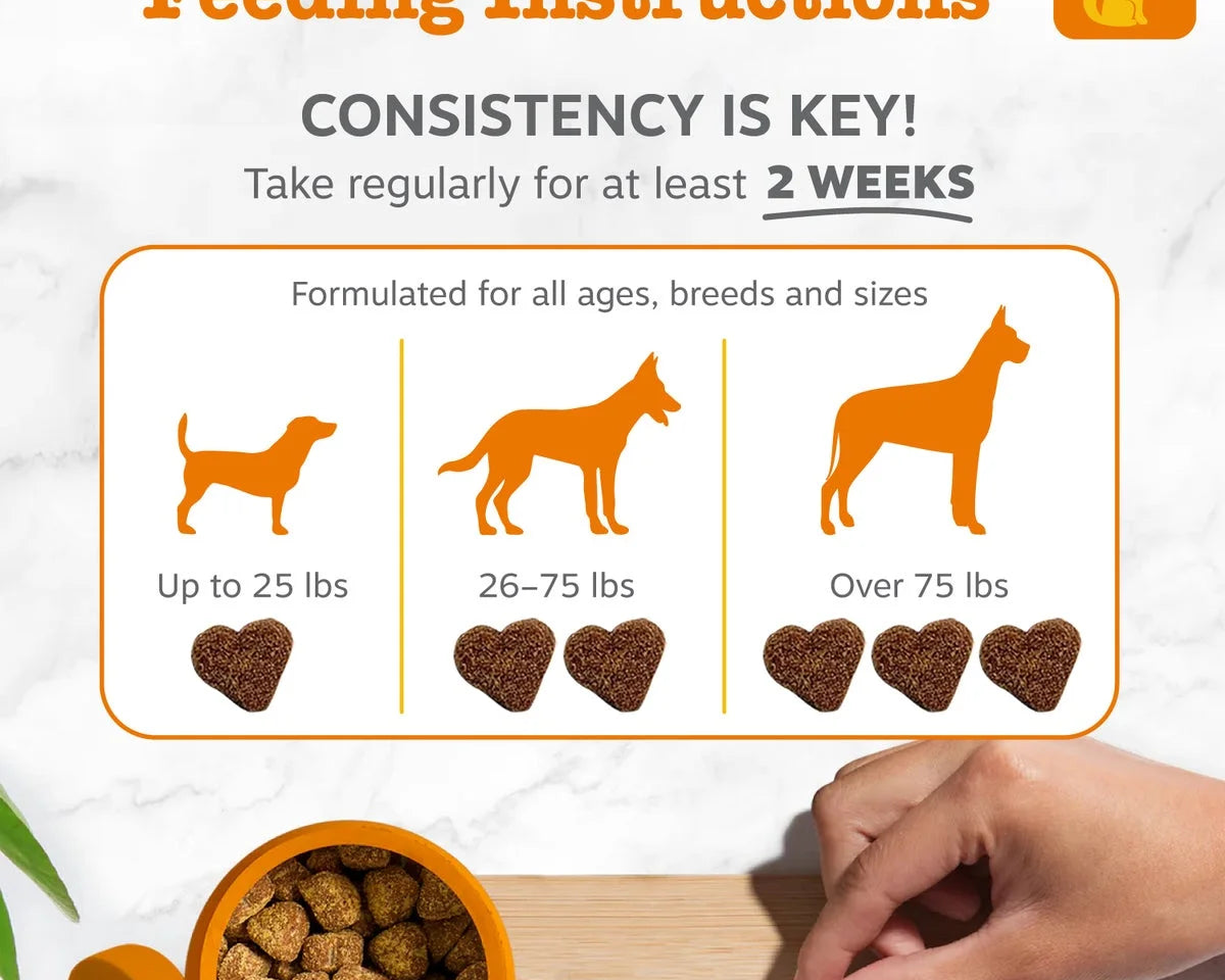 Delicious Pumpkin Flavor Probiotic Bites for Dogs - 3 Pack, 60 Count
