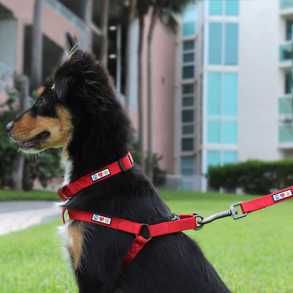 Large Dogs Adjustable Dog Collar Heavy Duty Waterproof Collars 