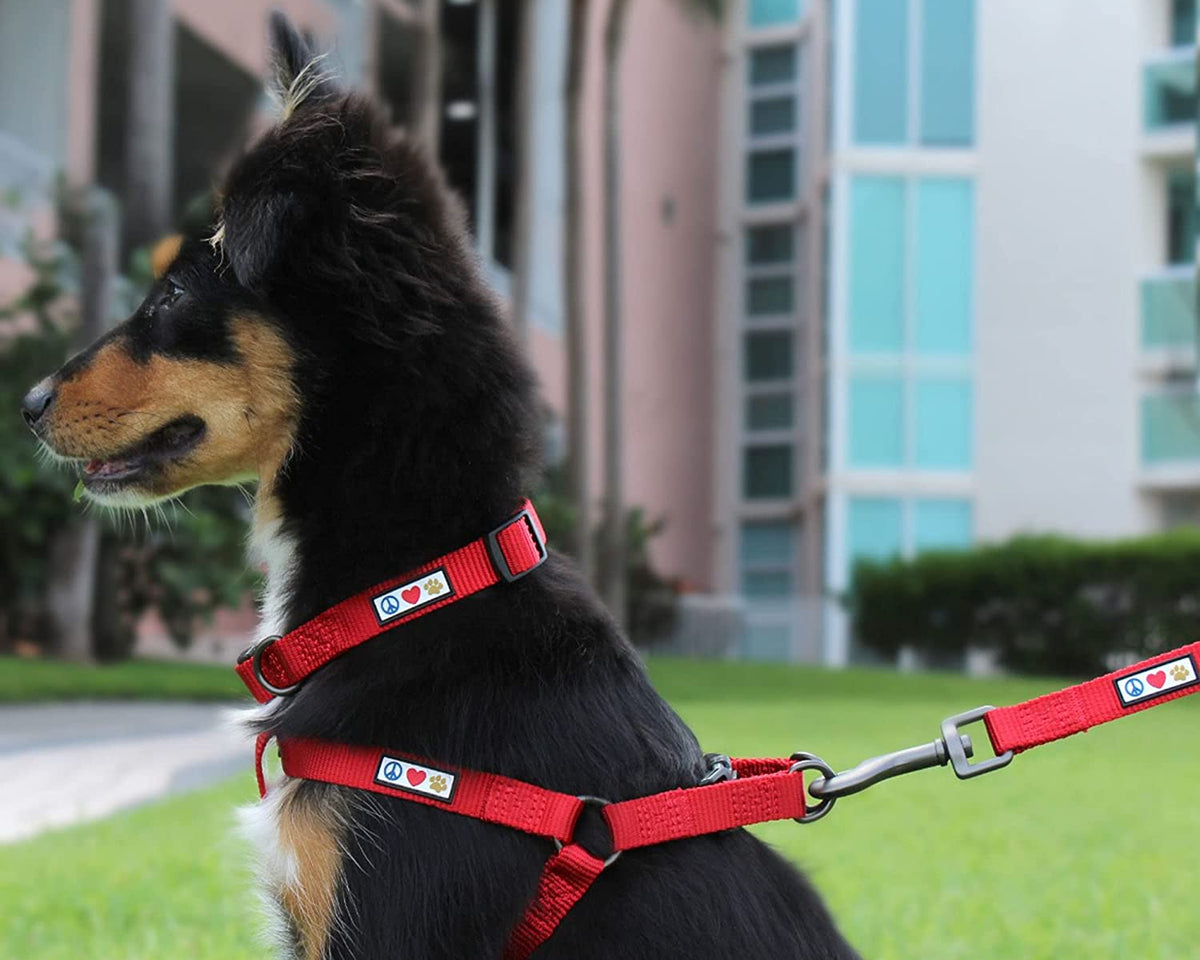 Large Dogs Adjustable Dog Collar Heavy Duty Waterproof Collars 
