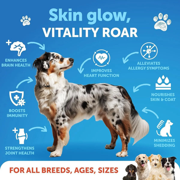Premium Wild Alaskan Salmon Oil for Dogs - 8 FL OZ Omega 3 Fish Oil with Natural EPA