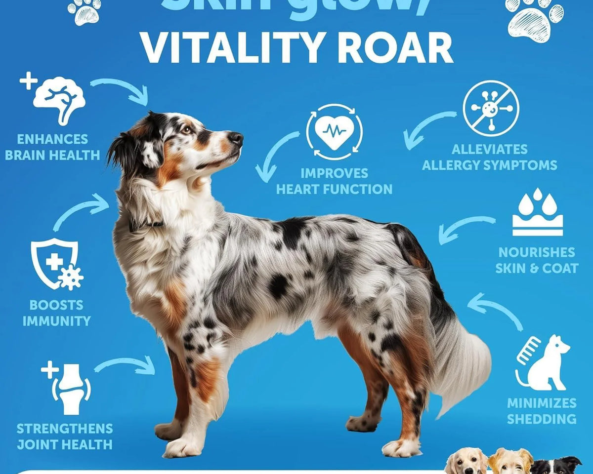 Premium Wild Alaskan Salmon Oil for Dogs - 8 FL OZ Omega 3 Fish Oil with Natural EPA