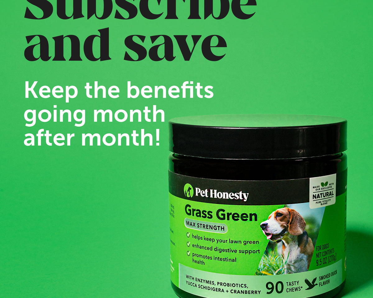 Max Strength Grass Green Duck Flavor - Unleash the Power!