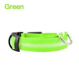 LED Dog Safety Collar – Night Glow - My Pet Collective LED Dog Safety Collar – Night Glow
