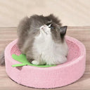  Baby Pink