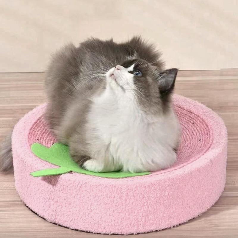 Cat Bed, Cat Scratching Board &Quality