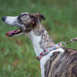Nylon Dog Collar Adjustable Reflective Pet Collars