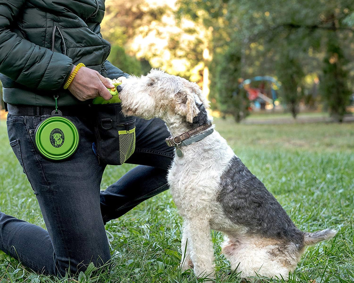 Premium Dog Treat Pouch with Clicker & Collapsible Bowl - Adjustable Reflective Straps for Training Success!