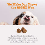 Delicious Pumpkin Flavor Probiotic Bites for Dogs - 3 Pack, 60 Count