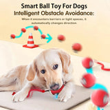 Interactive Automatic Rolling Dog Ball Toy - Rechargeable Smart Toy for Puppies and Dogs