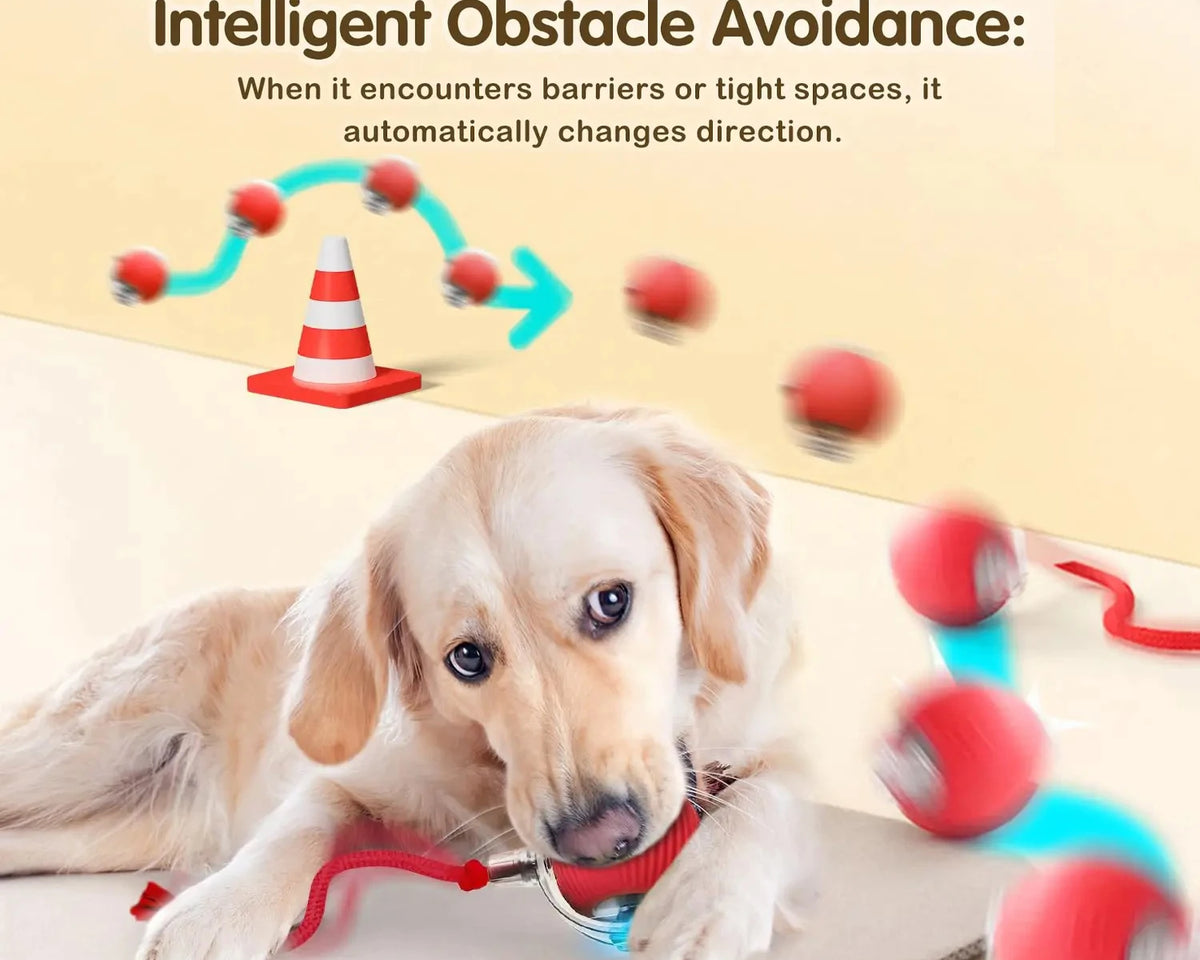 Interactive Automatic Rolling Dog Ball Toy - Rechargeable Smart Toy for Puppies and Dogs