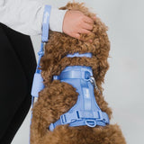  Electric Blue - Comfy and Stylish Dog Walking Experience