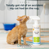 Advanced Pet Stain & Odor Remover