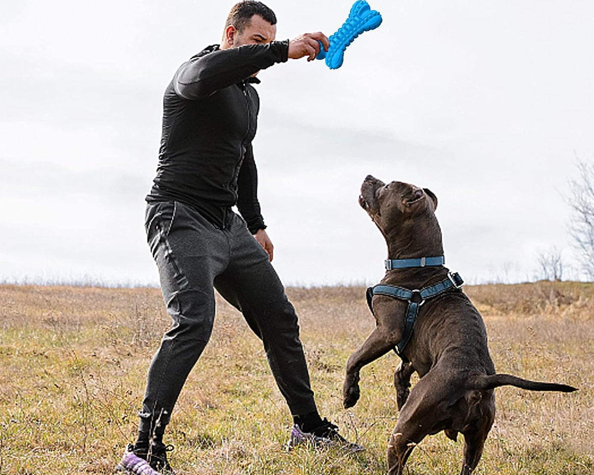Durable Indestructible Dog Toys for Aggressive Chewers - Squeaky Chew Bones for Large Breeds, Tough Natural Rubber Puppy Chews for Effective Dental Care