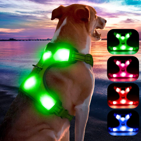 USB Rechargeable LED Dog Harness with Reflective Strips - Adjustable Medium Comfort Fit (Green)