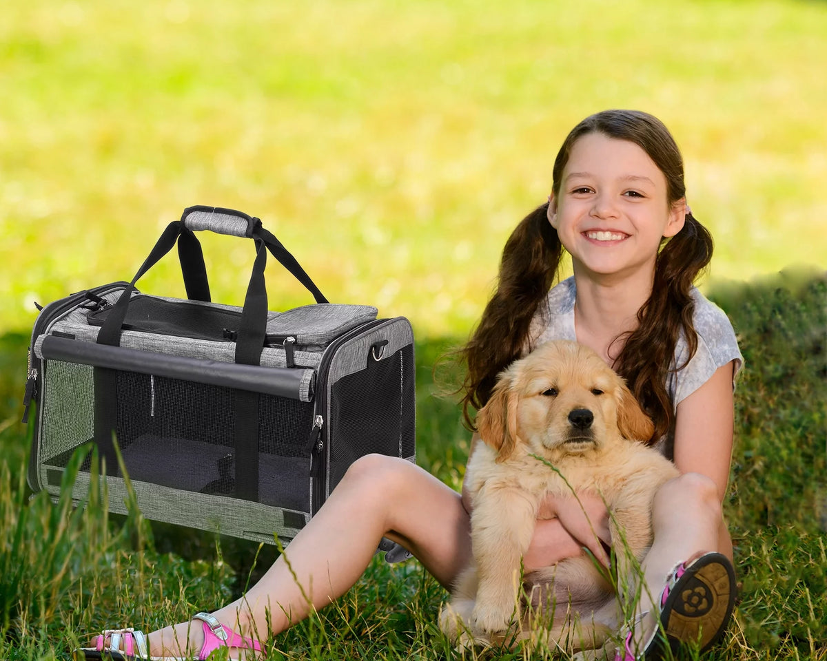 Airline Approved Rolling Pet Carrier for Small to Medium Dogs & Cats - Telescopic Handle & Wheels, Grey