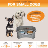 Deluxe Elevated Feeder for Small Dogs (Up to 19 lbs) - Mess-Proof Food and Water Bowl Set, USA-Made, Grey