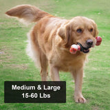 Indestructible Dog Toy for Aggressive Chewers - Interactive Bone Toy for Medium to Large Dogs by Dinosam