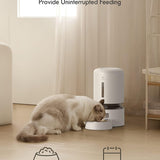 Automatic Cat Feeder with Camera