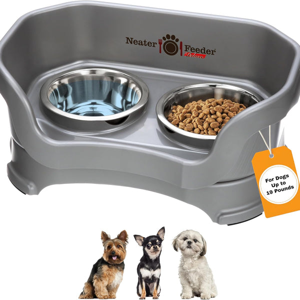 Deluxe Elevated Feeder for Small Dogs (Up to 19 lbs) - Mess-Proof Food and Water Bowl Set, USA-Made, Grey