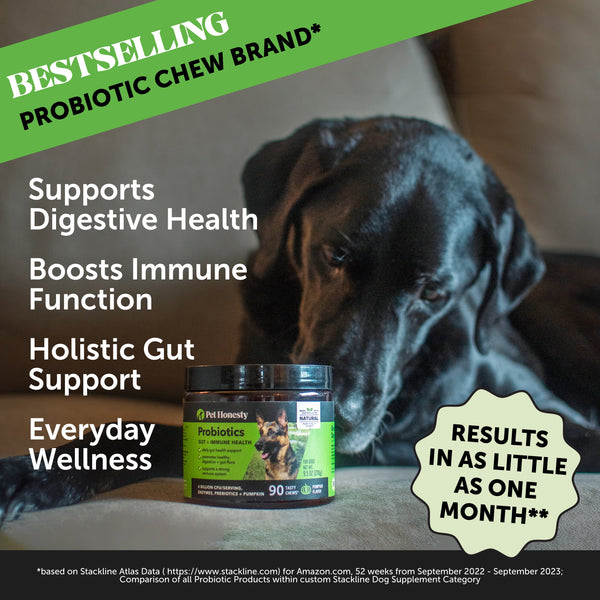 Delicious Pumpkin Flavor Digestive Probiotics Chews - 90 Count with 20% Off Auto Renew!