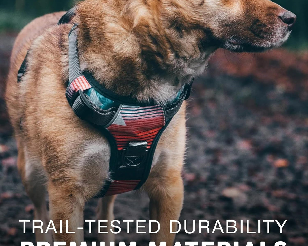 Embark Adventure Reflective No-Pull Dog Harness for Small Breeds - Durable Military-Grade Nylon with Front Clip and Gel-Enhanced Handle