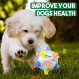 Pet LED Vibration Toy Ball - My Pet Collective Pet LED Vibration Toy Ball