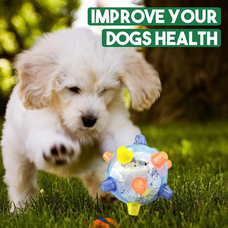 Pet LED Vibration Toy Ball - My Pet Collective Pet LED Vibration Toy Ball