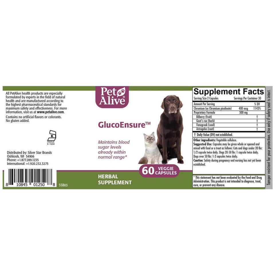 Glucoensure - Natural Herbal Supplement for Healthy Blood Sugar Levels in Pets