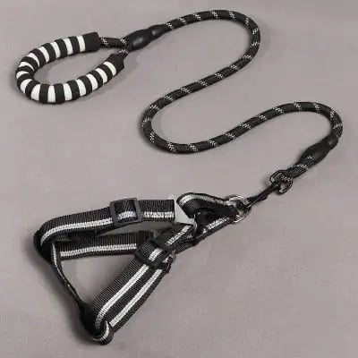 Dog Leash and Chest Harness for Pet Supplies - My Pet Collective Dog Leash and Chest Harness for Pet Supplies